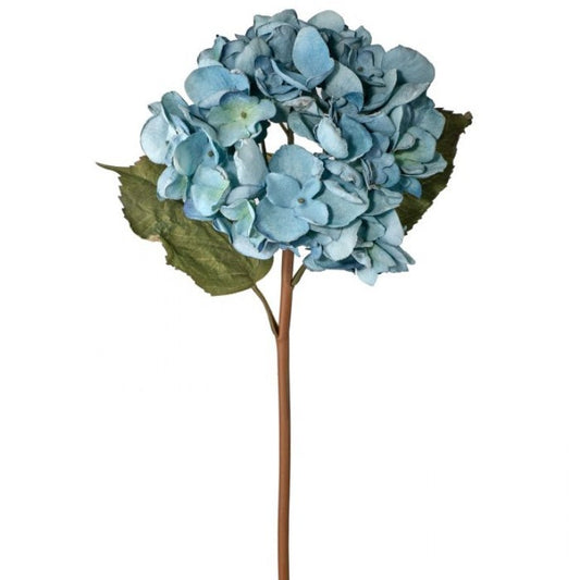 22” Just Dried Grand Hydrangea