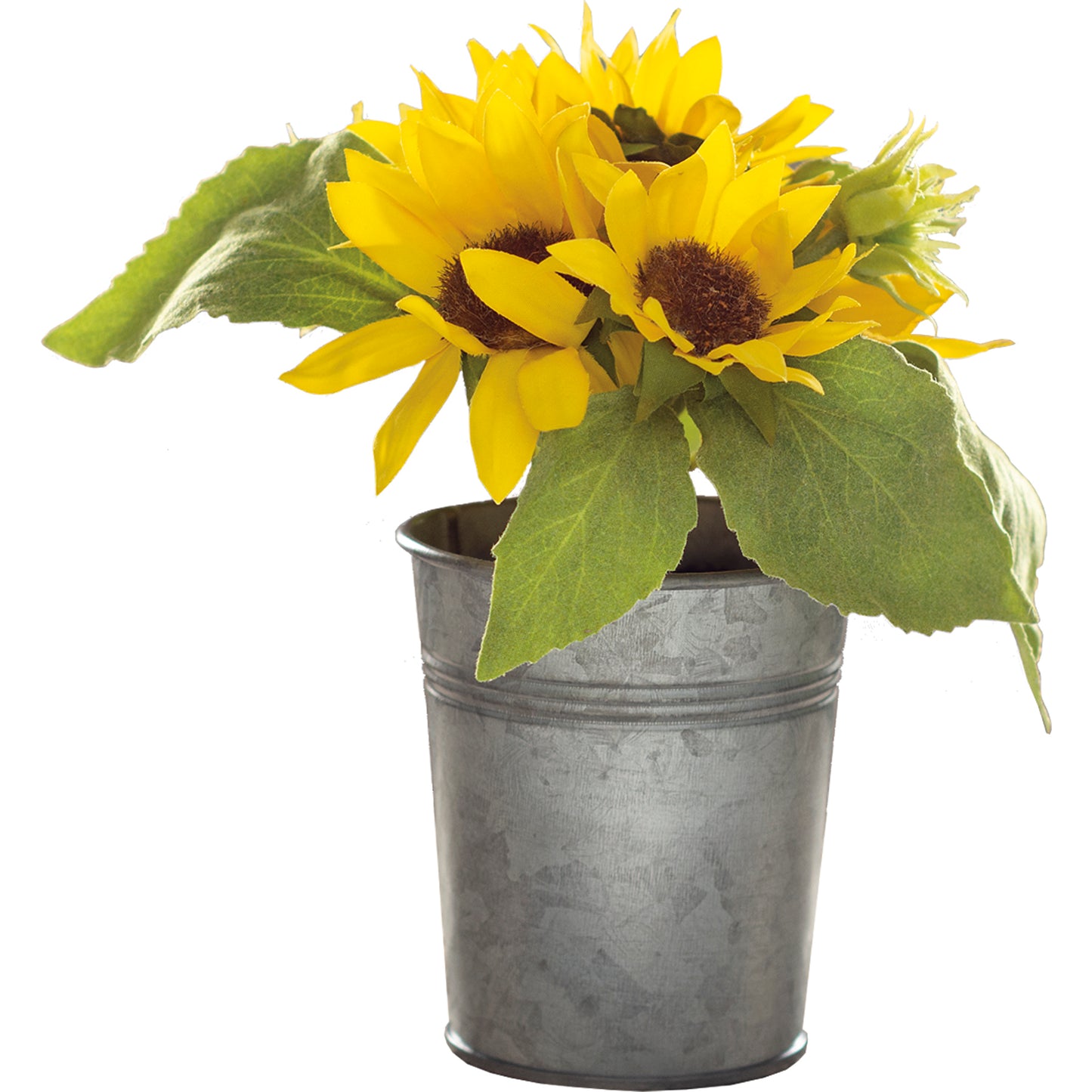 Planter Sunflowers