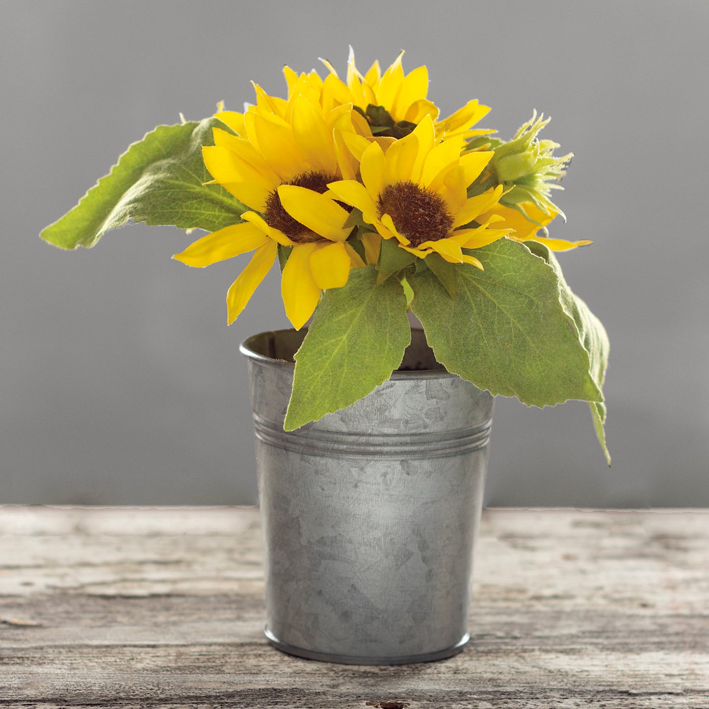 Planter Sunflowers