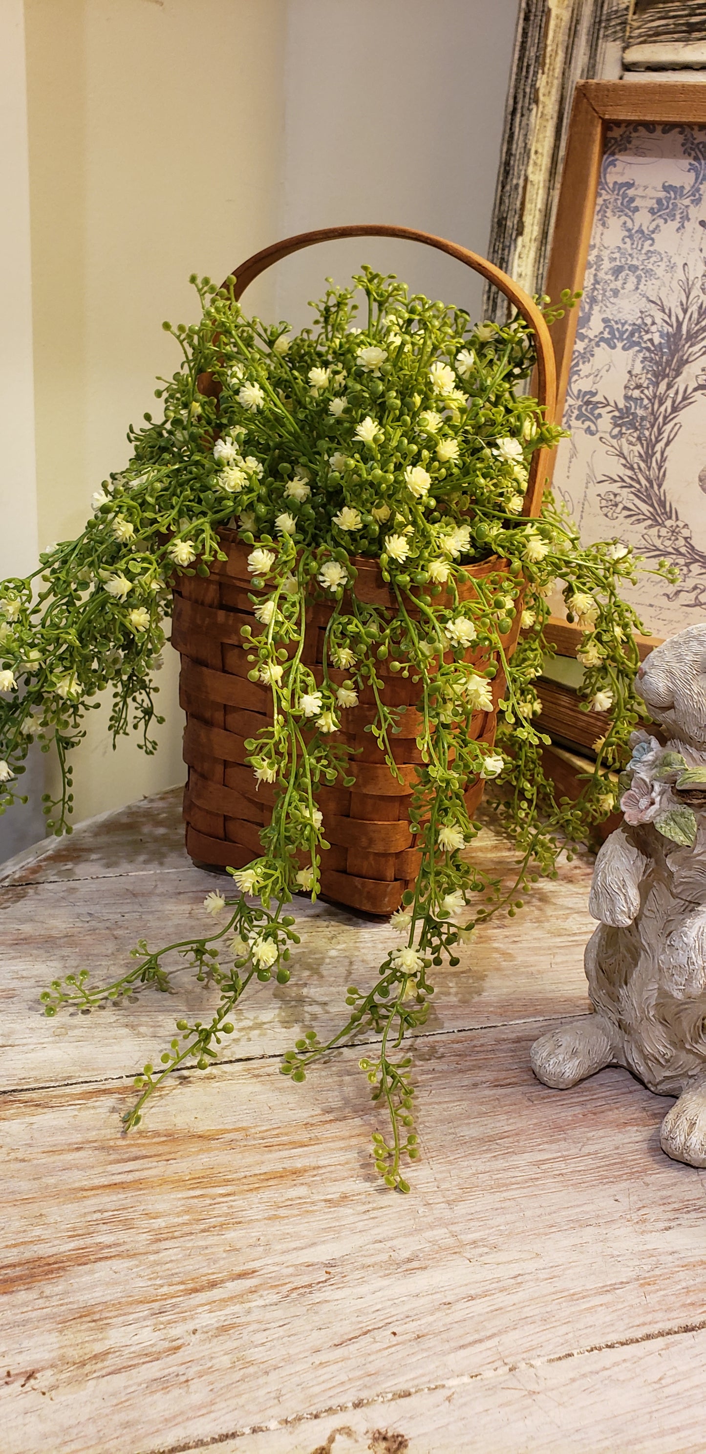 Hanging Baby's Breath Bush