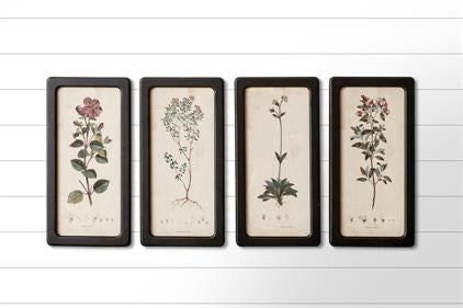 Botanical framed prints