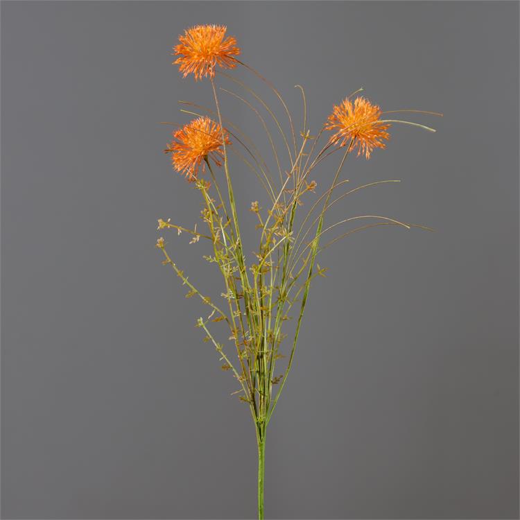 23"  Rust Allium Branch