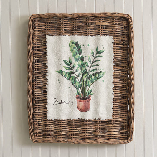 ZZ Plant Wall Basket