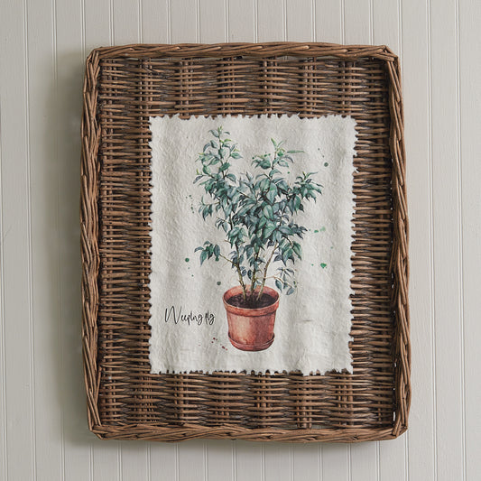 Weeping Fig Wall Basket