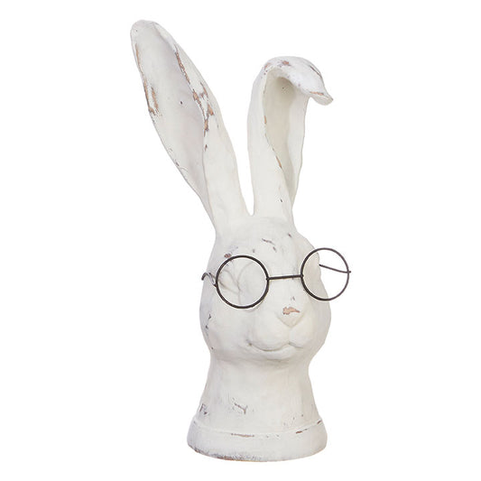 Bunny with glasses