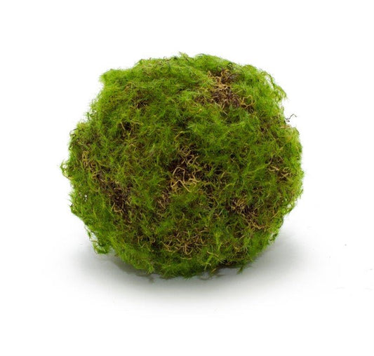 Moss Ball