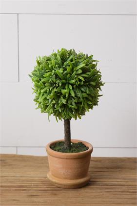 Topiary - Terra Cotta Pot,