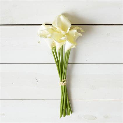 Bunch - Cream Calla Lilies