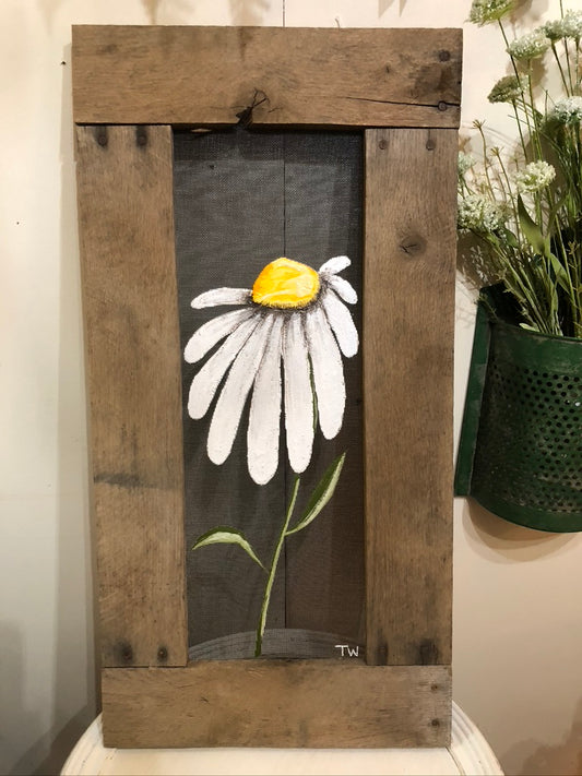 White Daisy Screen