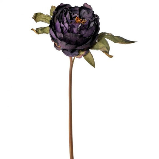 Just Dried Peony Stem - Plum